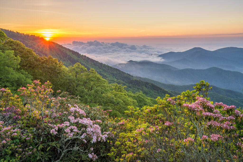 Mount Mitchell Land for Sale, a,beautiful,summer,morning,along,the,blue,ridge,parkway,in